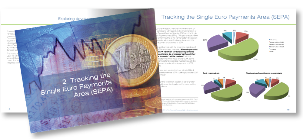 layout of financial survey report designed by The Smart Station Sheffield